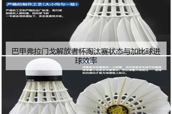 巴甲弗拉门戈解放者杯淘汰赛状态与加比球进球效率