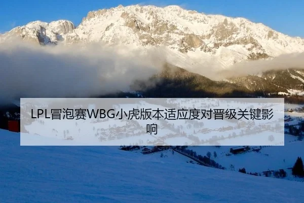 LPL冒泡赛WBG小虎版本适应度对晋级关键影响
