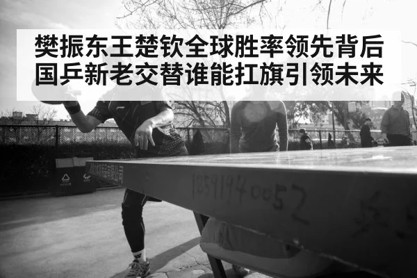 樊振东王楚钦全球胜率领先背后 国乒新老交替谁能扛旗引领未来
