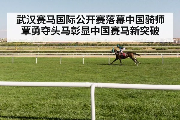 jockey riding racehorse